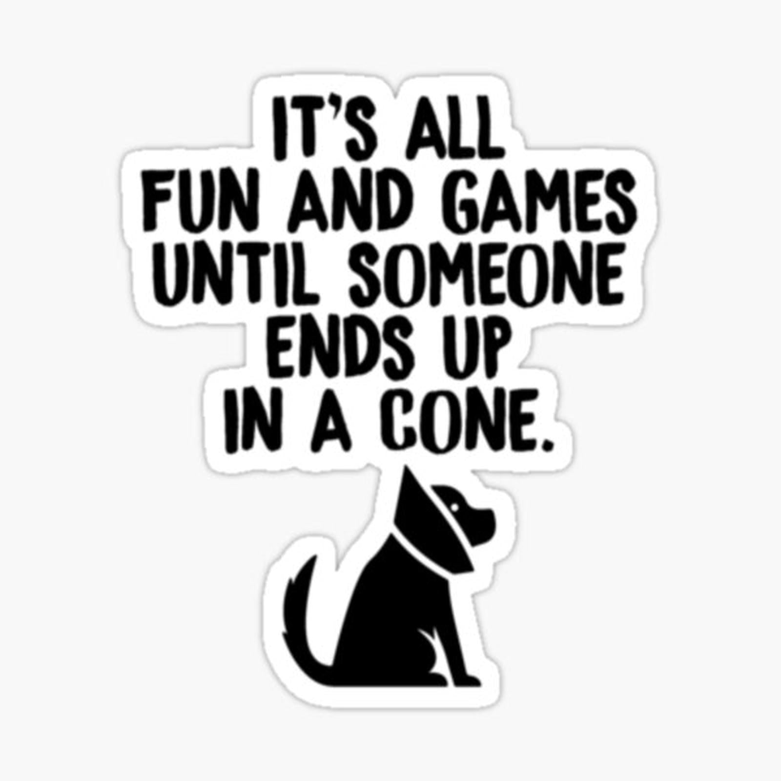 Its All Fun And Games Until Someone Ends Up In A Cone Vet Tech