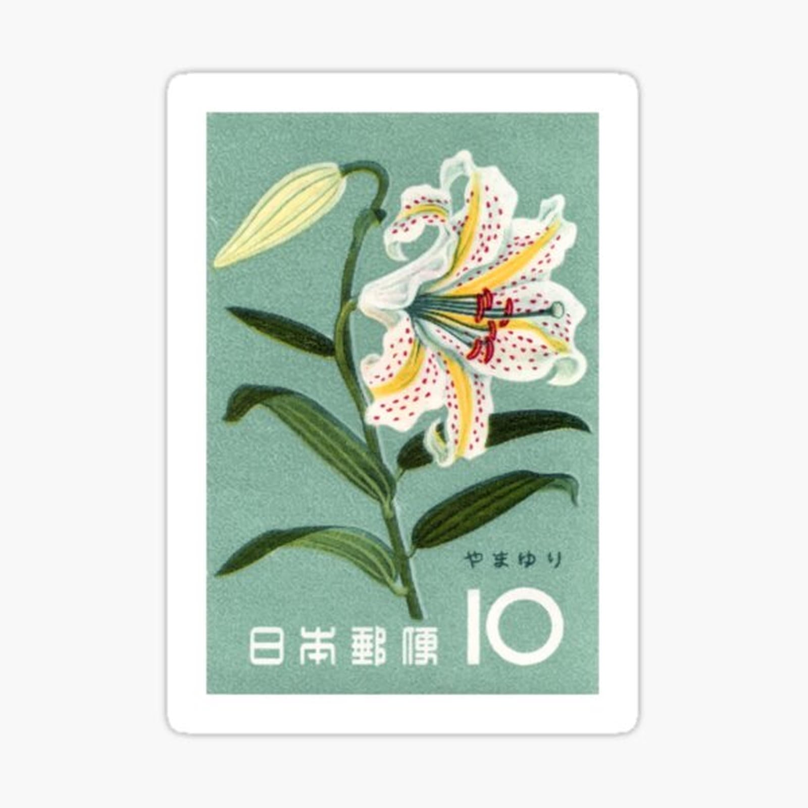 Japan Lily
