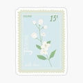 jasmine flower