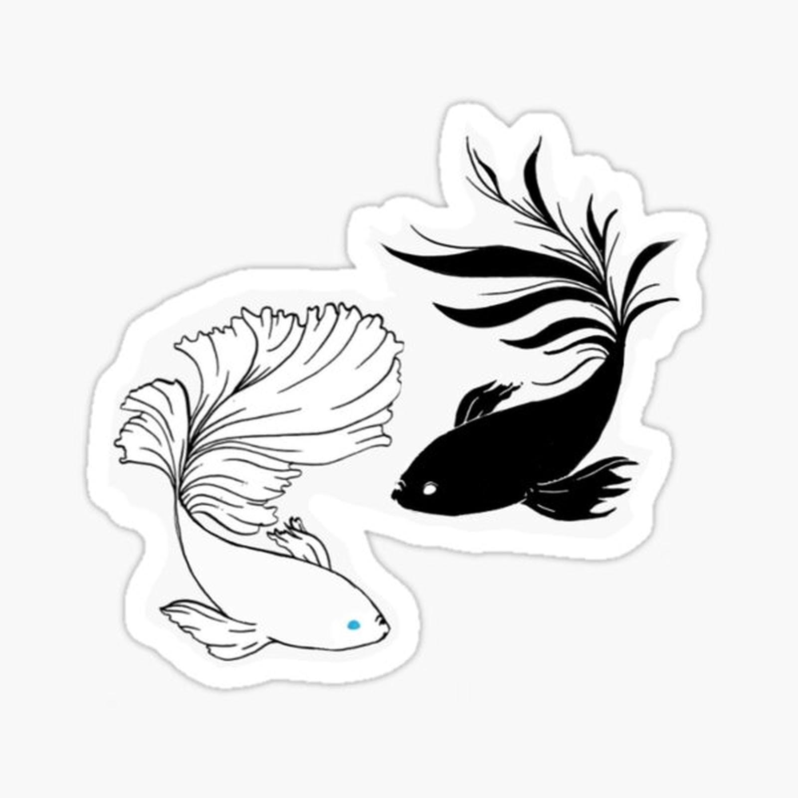JJK beta fish