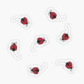 Lady Bugs