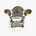 Lady Cow
