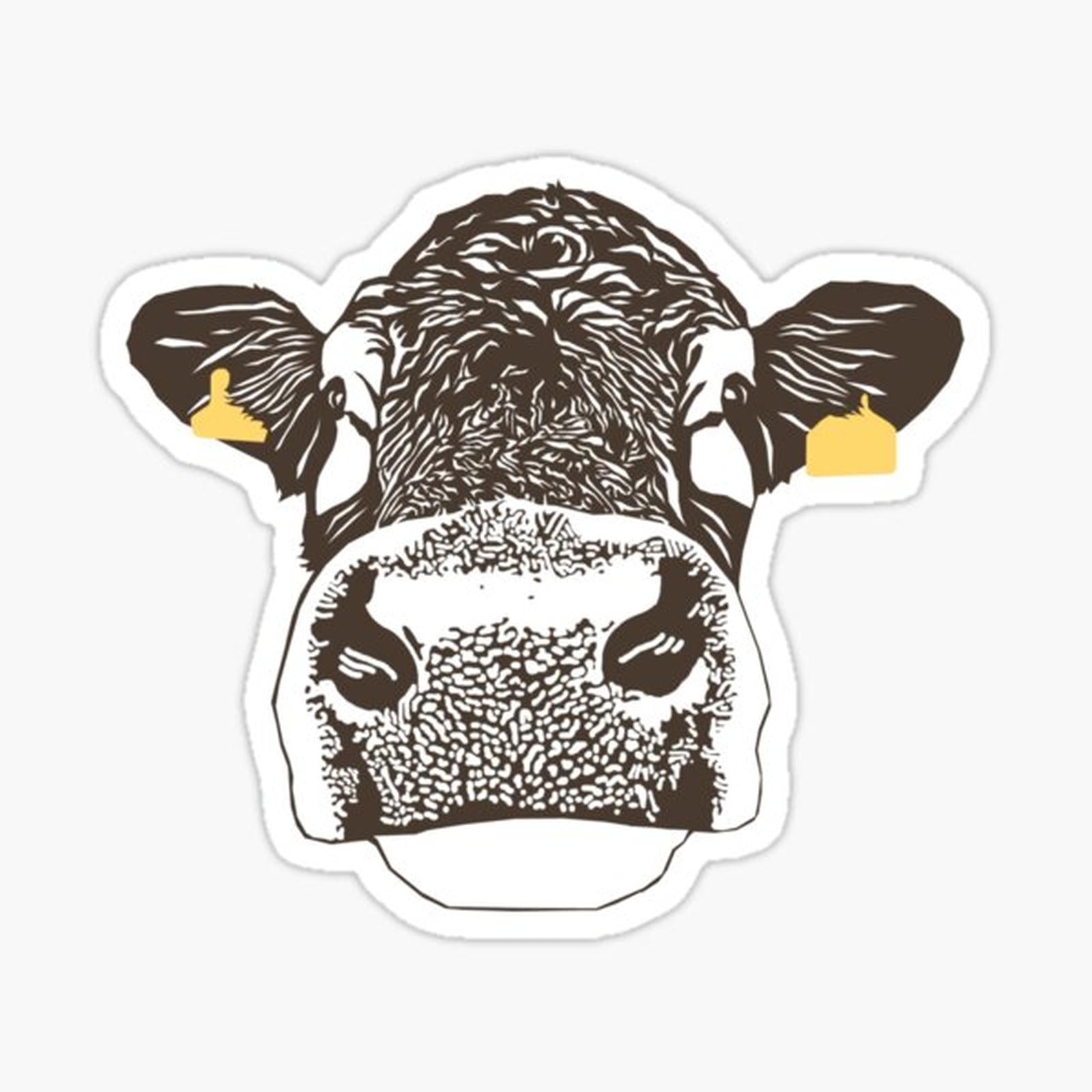 Lady Cow