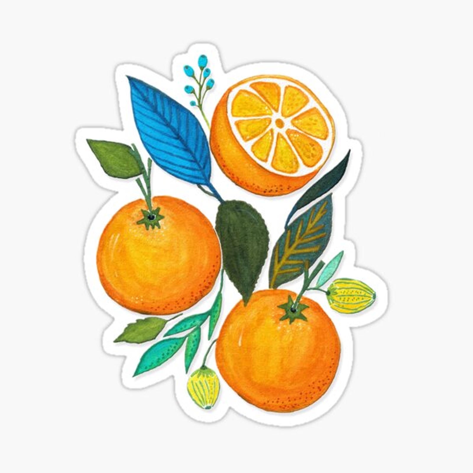 Lady Orange