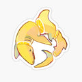 Lemon Shark
