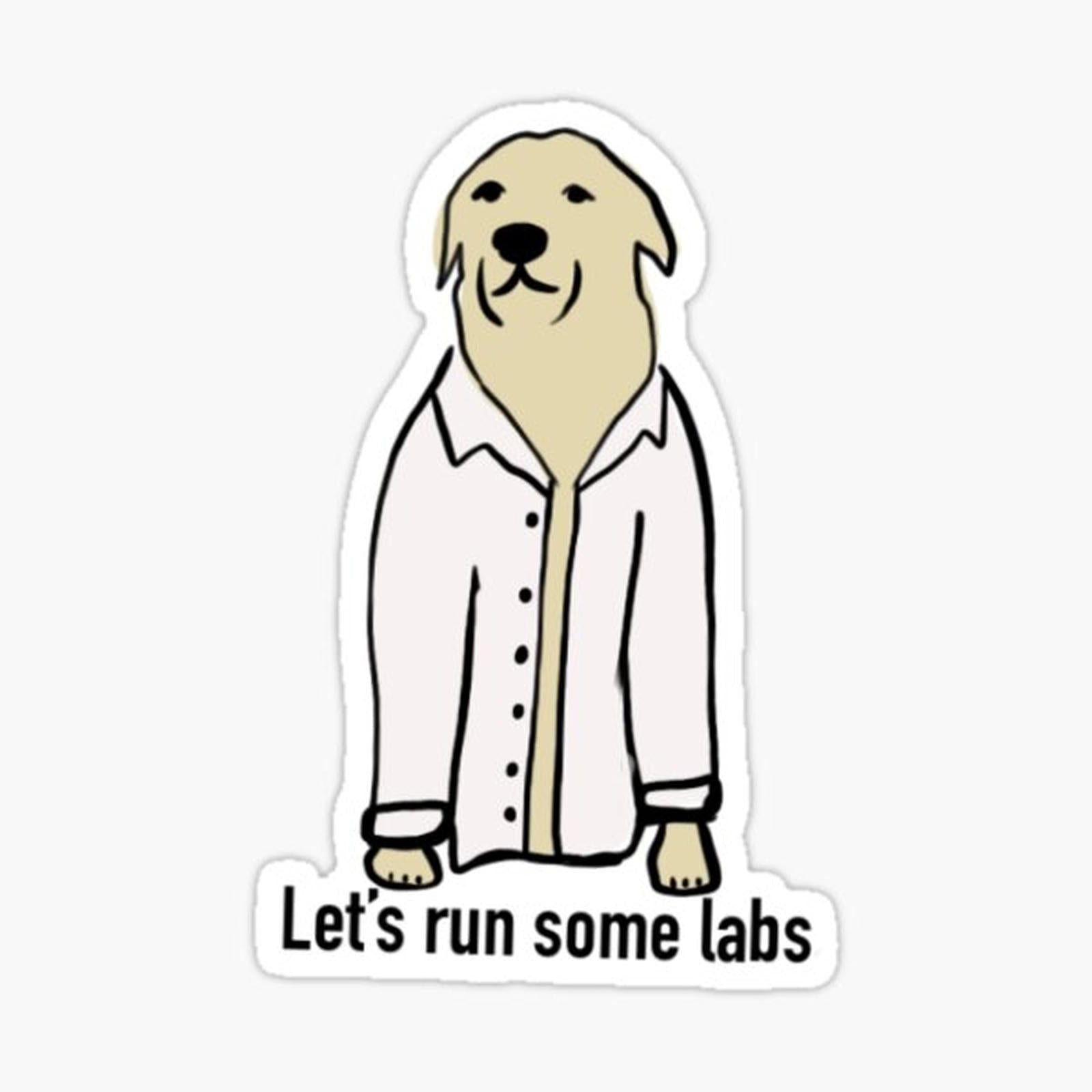 Lets run some labs