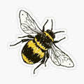 Lil Bee