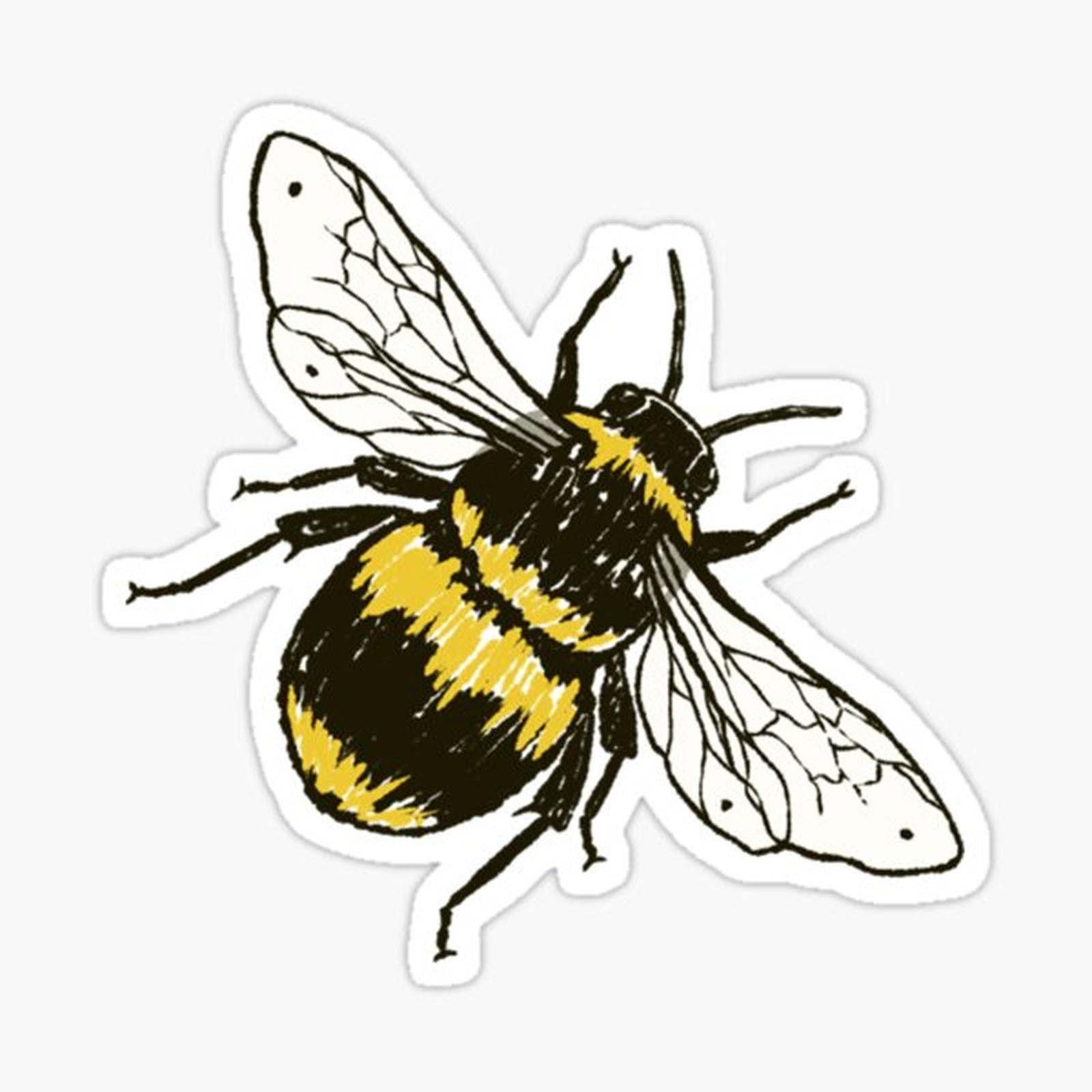 Lil Bee