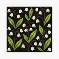 Lilly of The Valley
