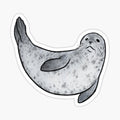Little Harbour Seal
