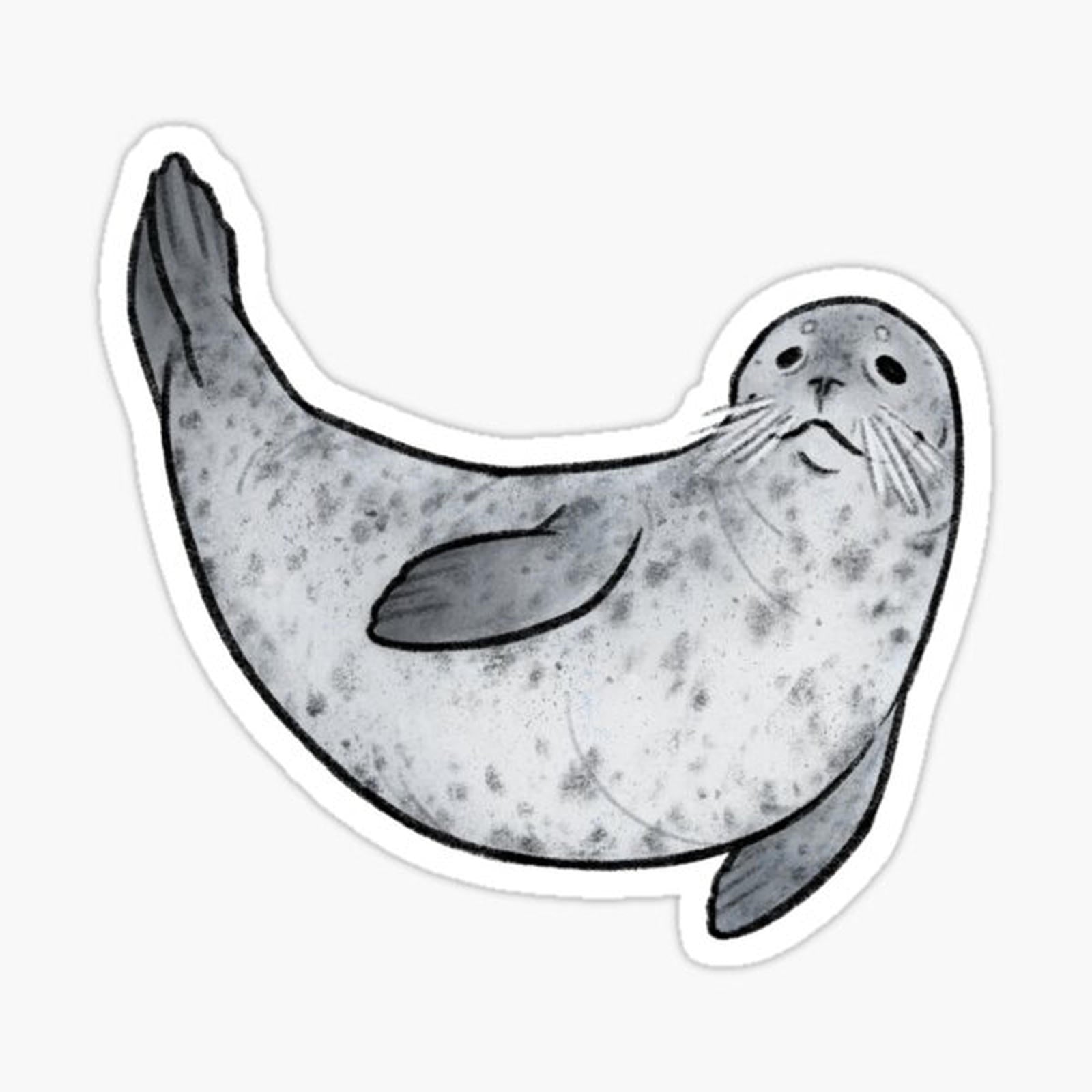 Little Harbour Seal