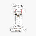 Llama yoga pose with llamaste