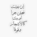 Mahmoud Darwish Arabic Calligraphy Quote