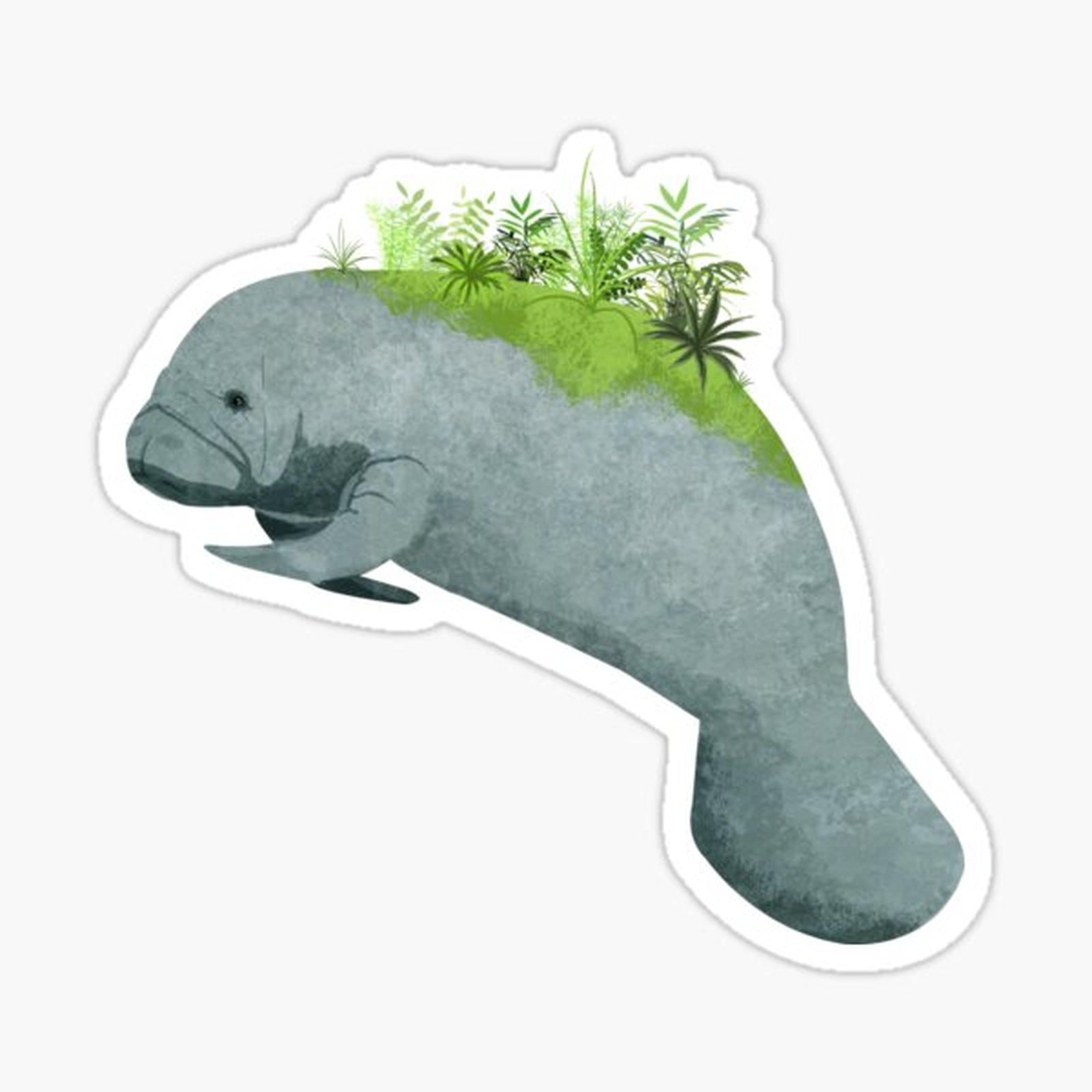 Majestic Sea Cow