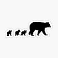 Mama Bear and her Cubs.
