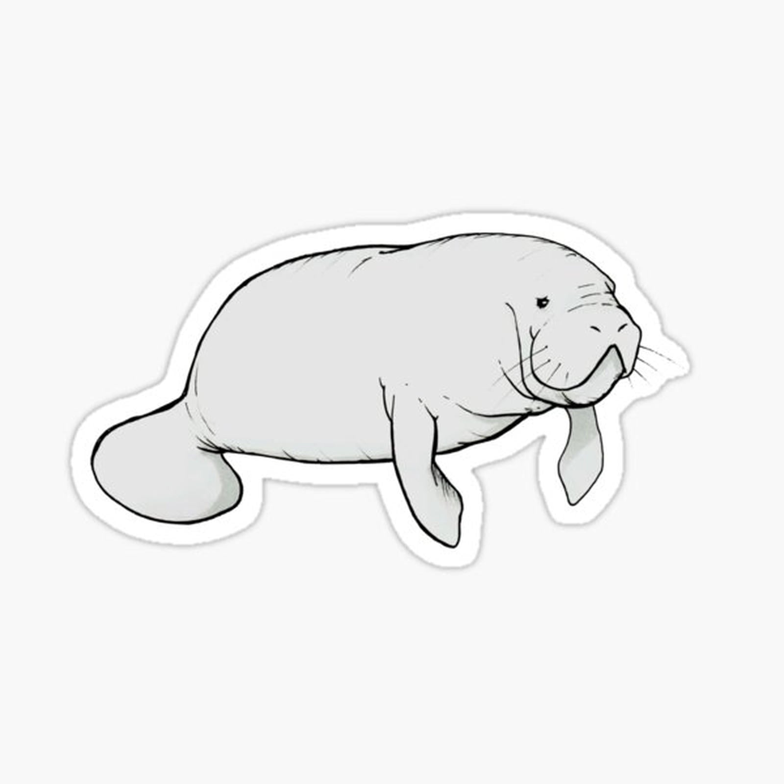 Manatee Mania