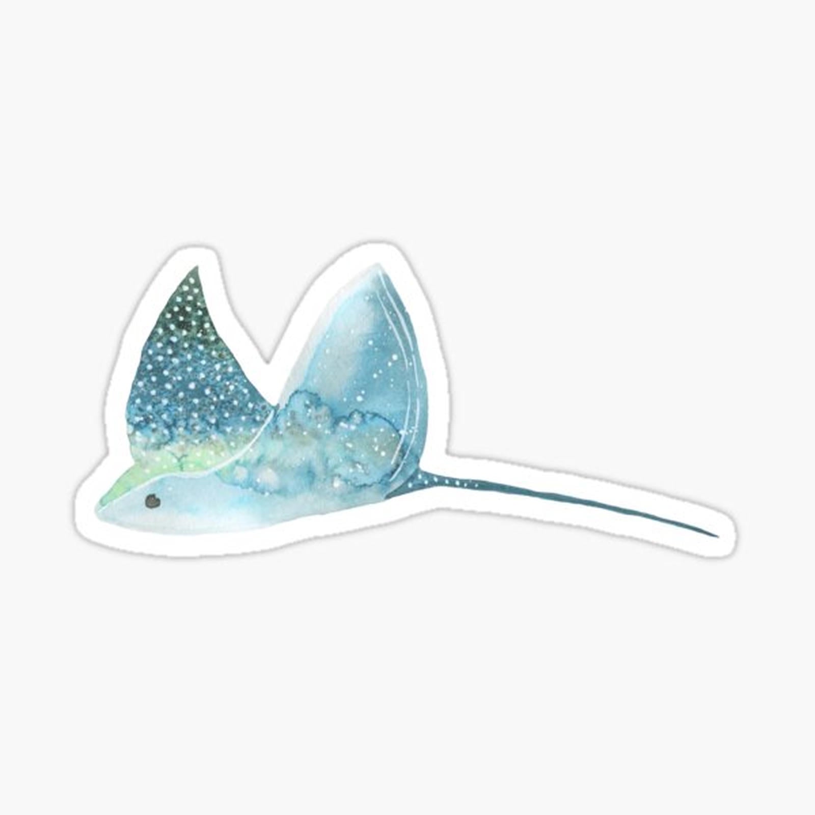 Manta Ray