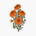 Marigold Flowers