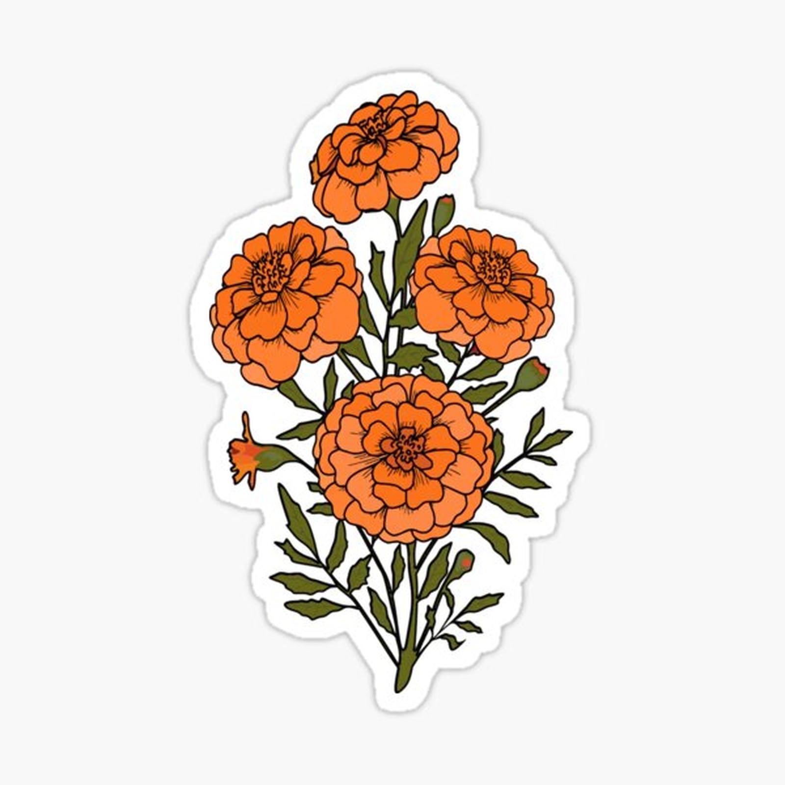 Marigold Flowers
