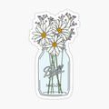 Mason Jar Daisies