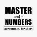 Master of Numbers Accountant for Short