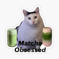 Matcha fat cat
