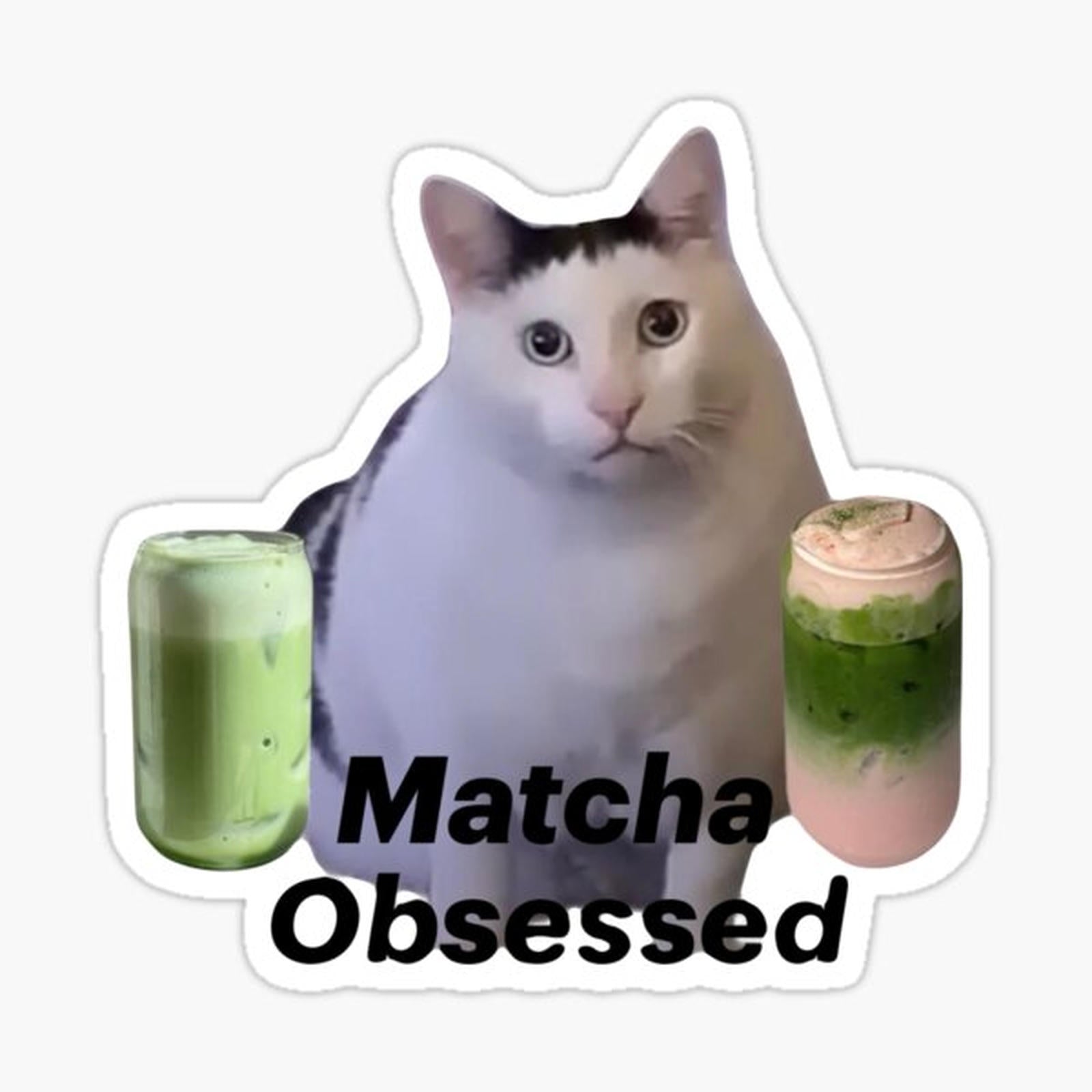 Matcha fat cat