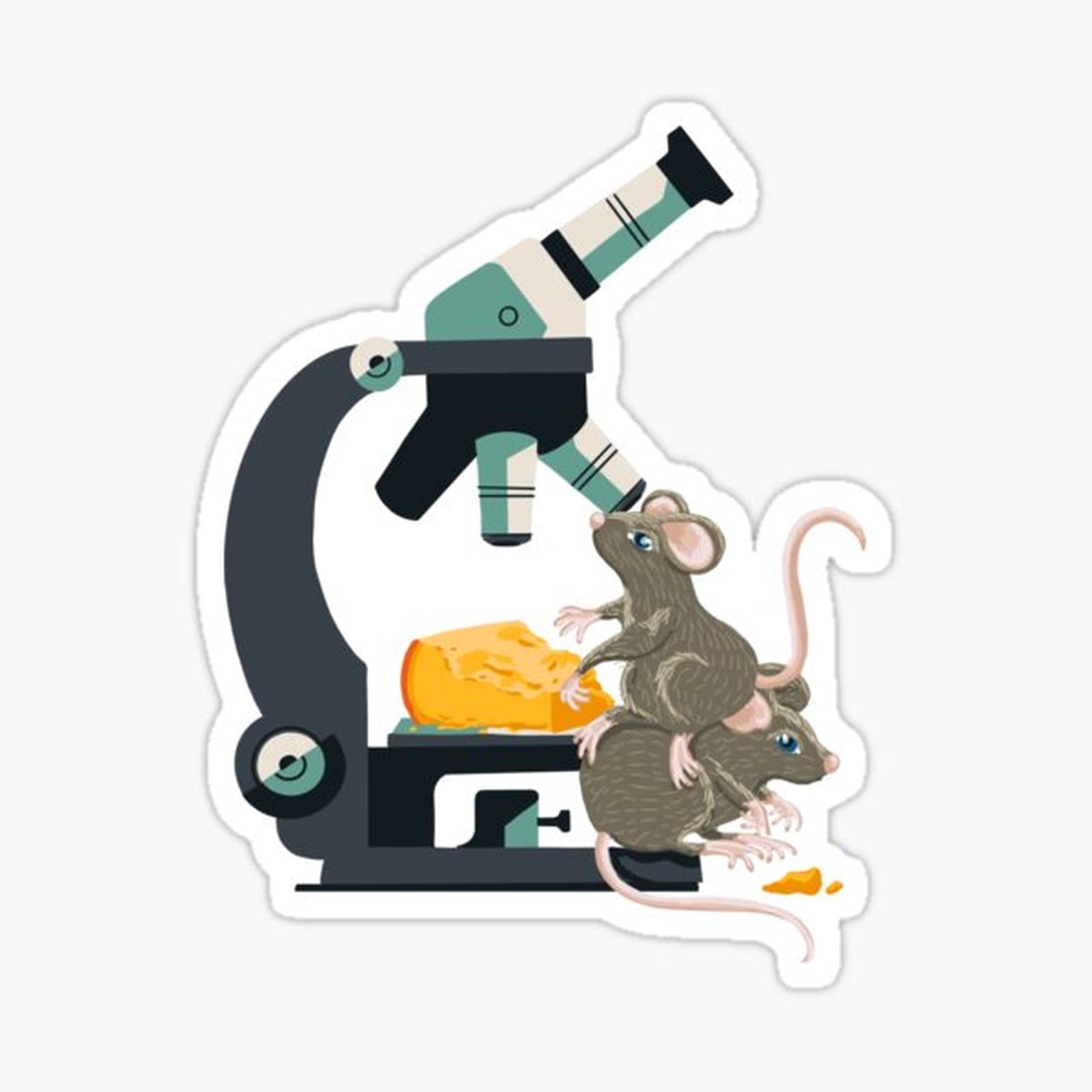 Micro Mouse ‘n Cheese