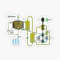 Molten Salt Reactor Diagram