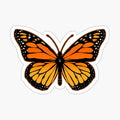 Monarch Butterfly