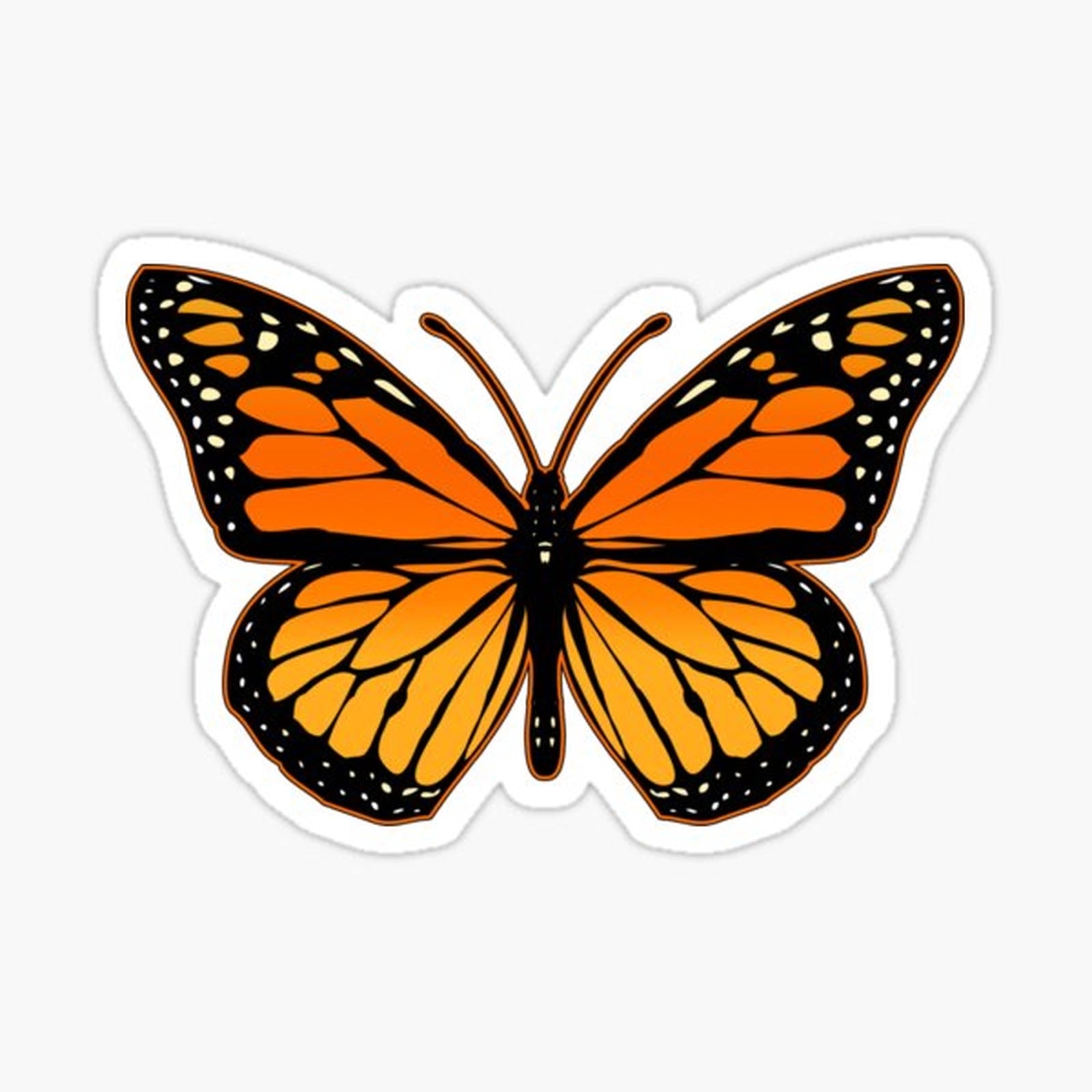 Monarch Butterfly