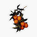 Monet's _Branch of Orange Bearing Fruit_