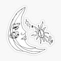 Moon outline