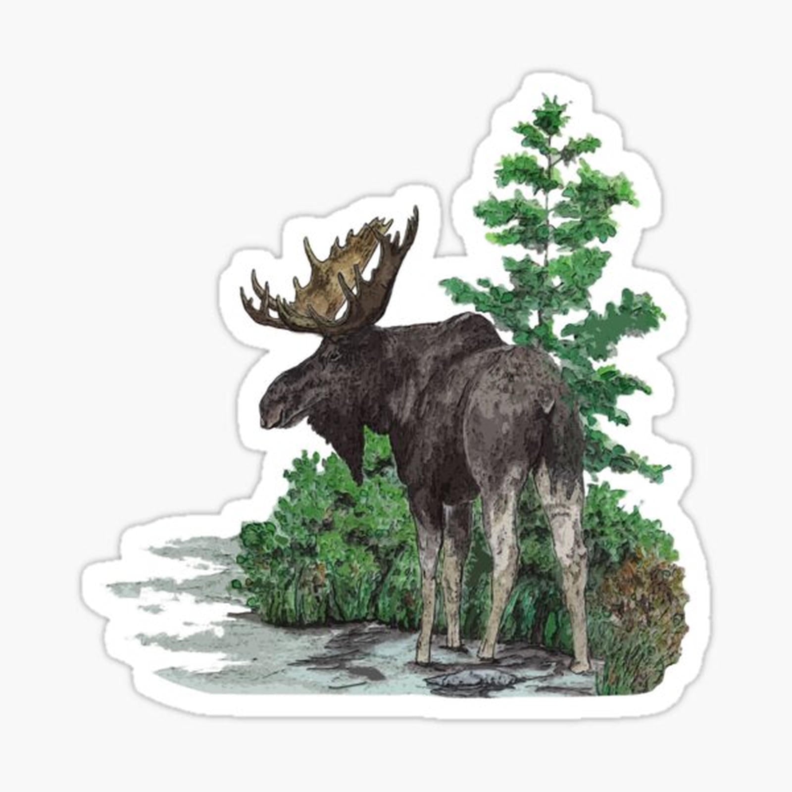 Moose watercolor