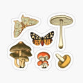 MOTH MUSHROOM