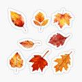 Multi Autumn