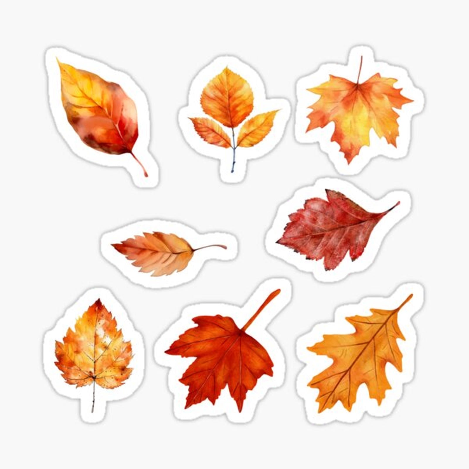 Multi Autumn