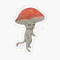 MUSHROOM CAT