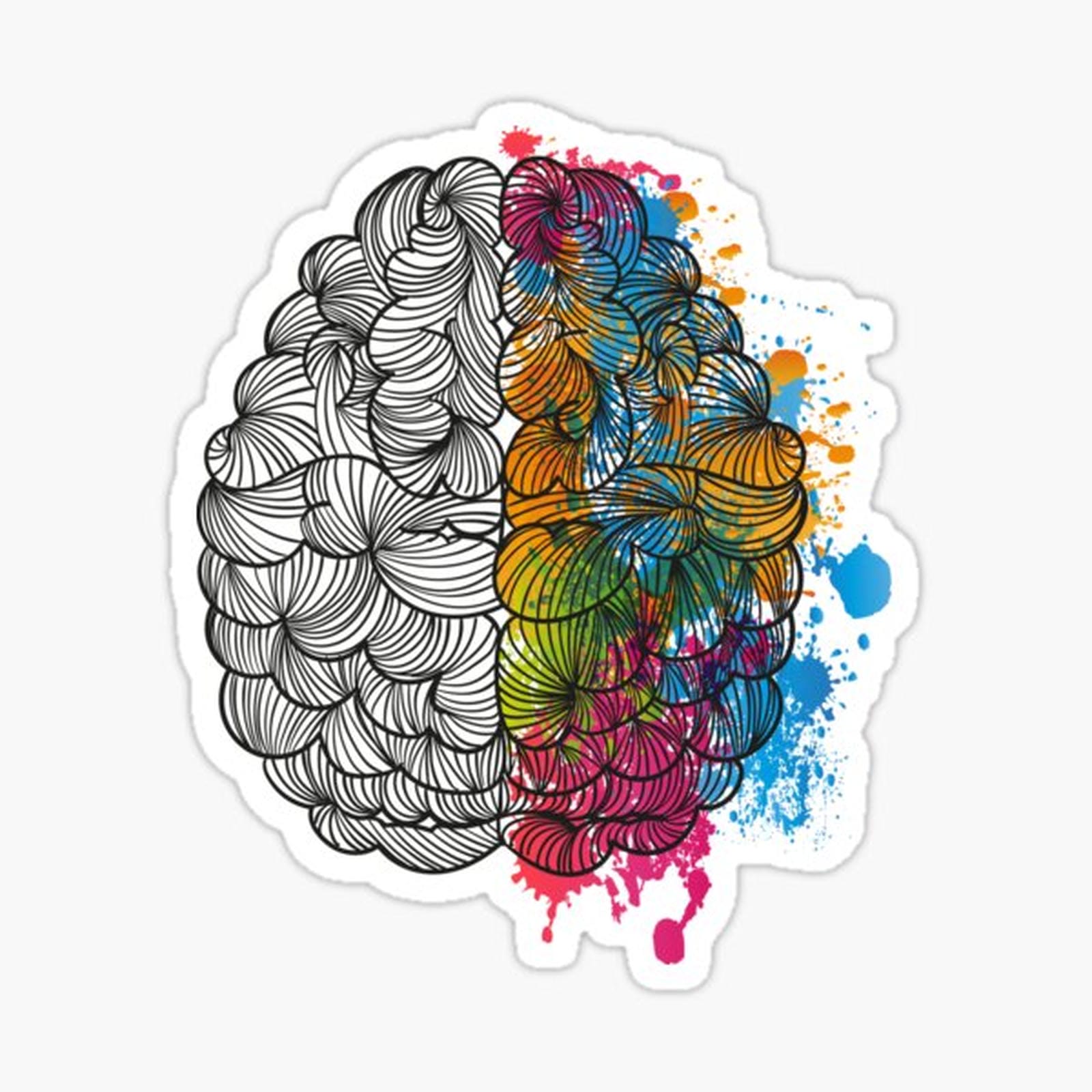 My Brain