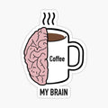 My brain