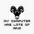My Computer Has Lots of RAM funny pun