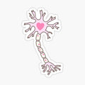 Neuron Heart Pink Brown