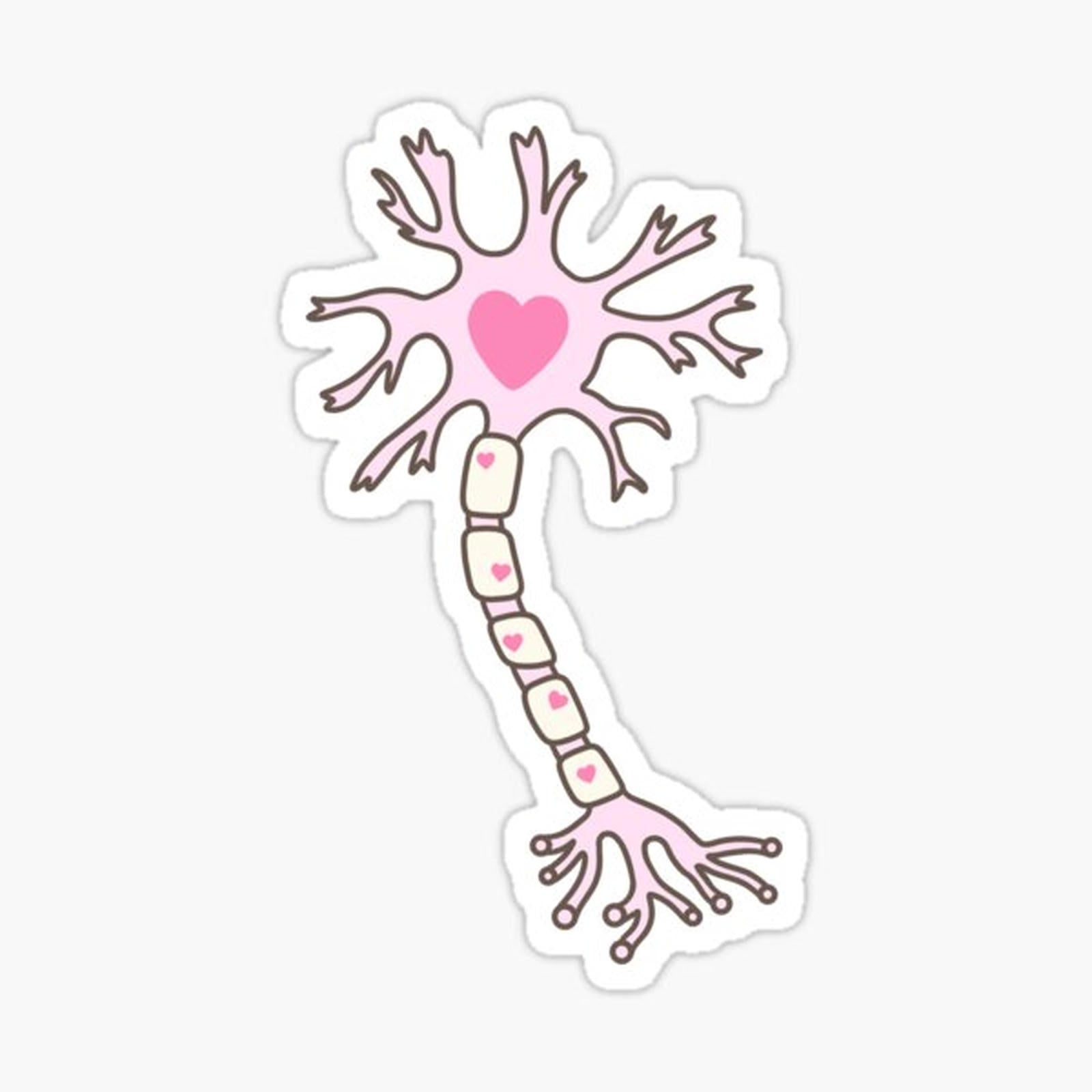 Neuron Heart Pink Brown