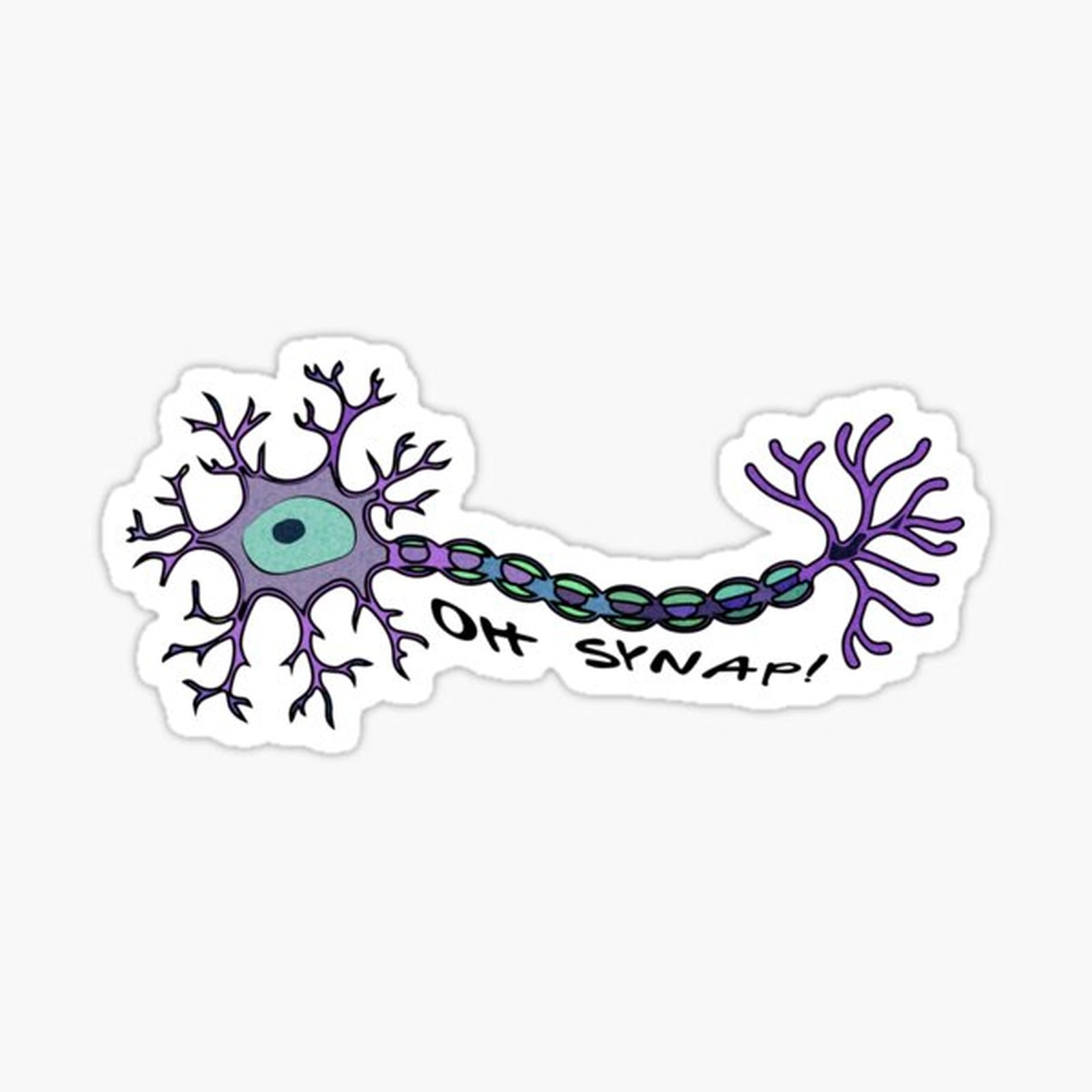 Neuron Oh SYNAP! (Oh snap!)