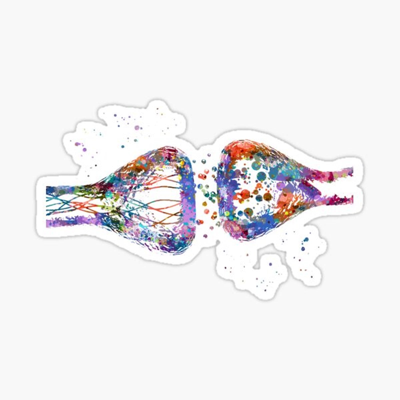 Neuron Synapse Neurotransmitters