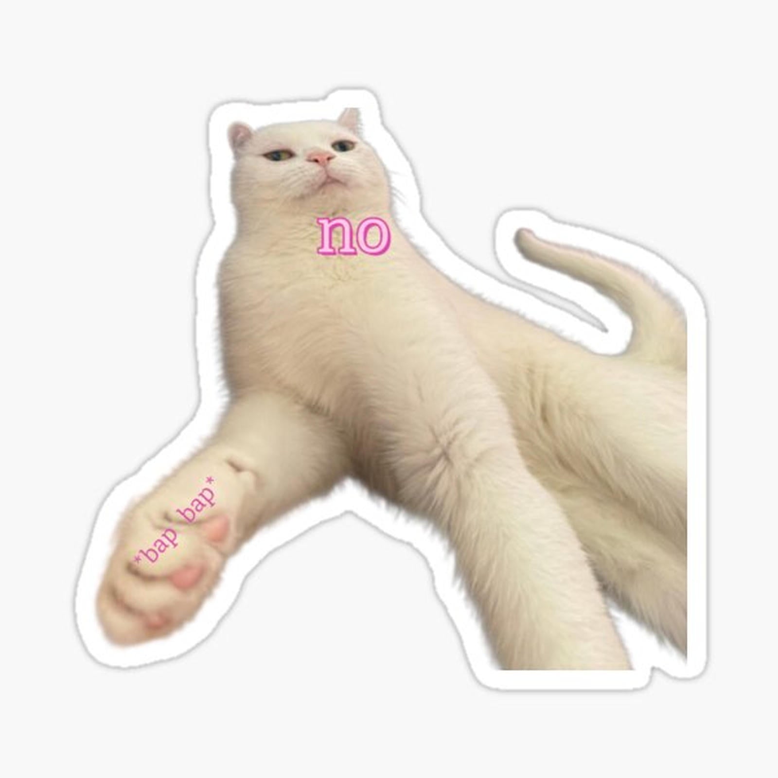 no