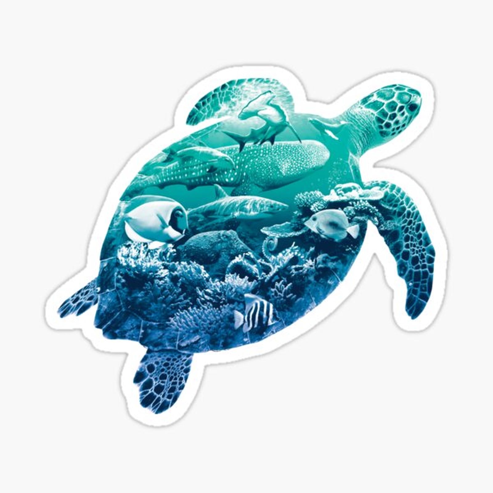 Ocean Life Sea Turtle