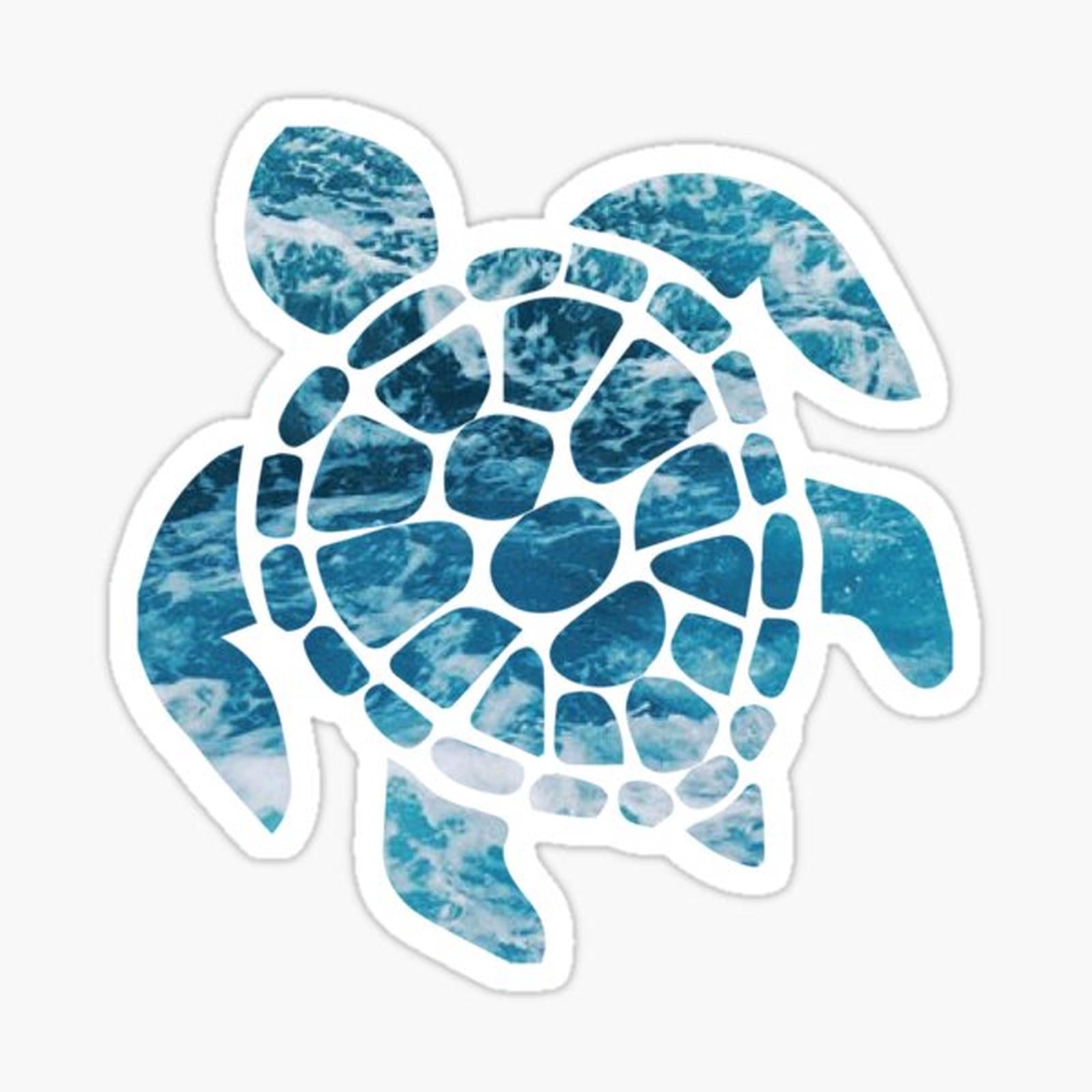 Ocean Sea Turtle
