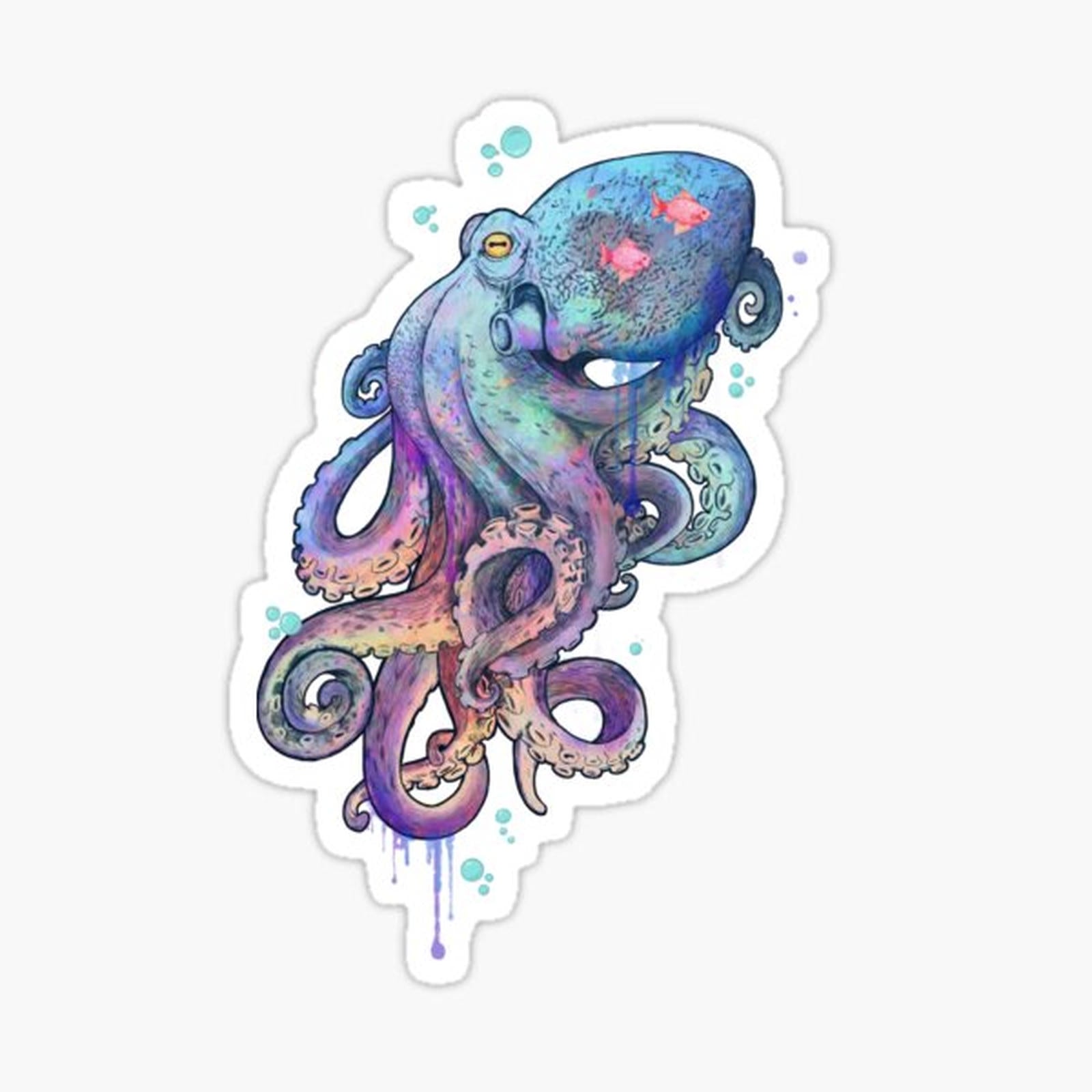 octopus