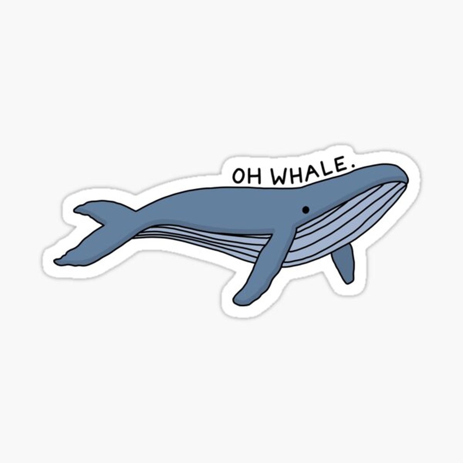 Oh Whale